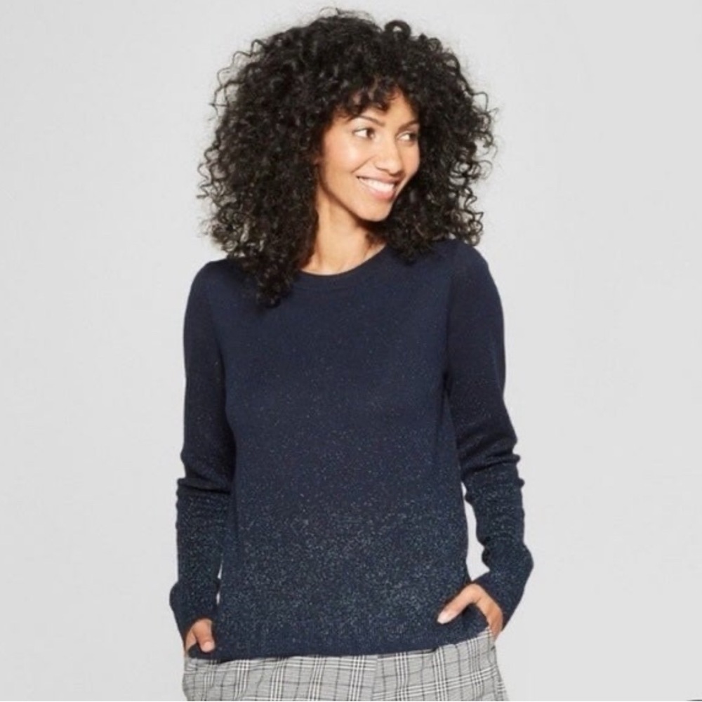 A New Day Shimmery Blue Crewneck Sweater